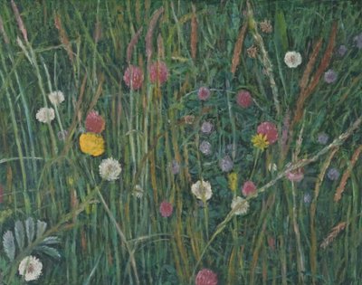 Plants of the Machair, 2008 by Ruth Addinall