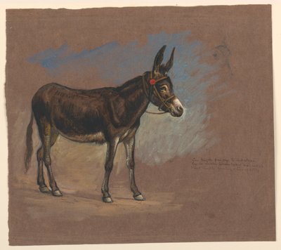 Study of a Mule by Samuel Colman