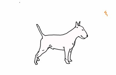 Bull Terrier by Sarah Thompson Engels