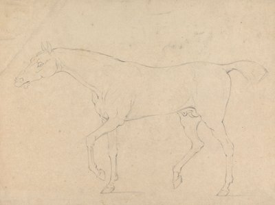 A Horse by Sawrey Gilpin