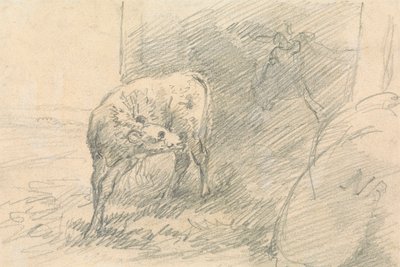 Calf, with Head of a Cow by Sawrey Gilpin