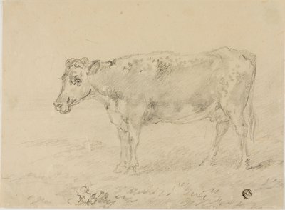 Cow by Sawrey Gilpin