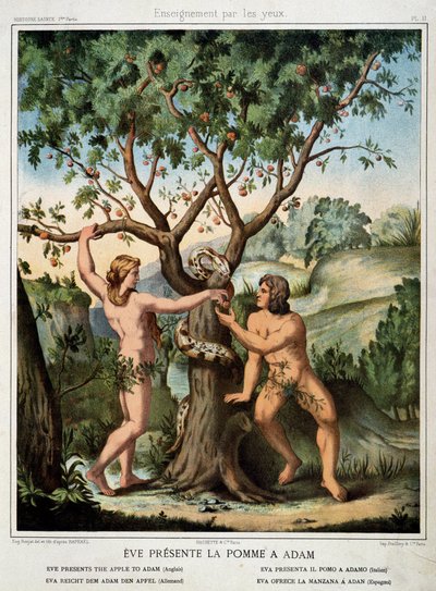 Eve Presents the Apple to Adam by School French