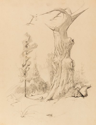 Untitled by Solon H. Borglum