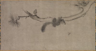 Squirrel on a Pine Branch by Song Tian
