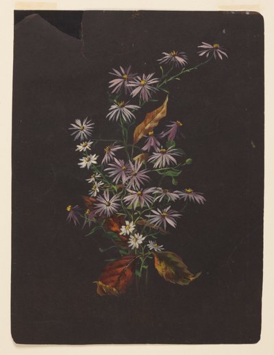 Study of an Autumn Bouquet by Sophia L. Crownfield