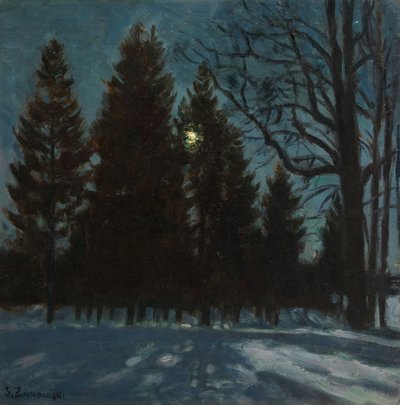 Winter Night, 1931 by Stanislav Julianovic Zukovskij