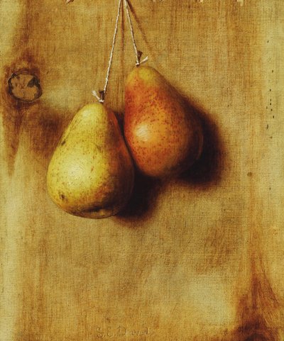 Hanging Pears by Stanley S. David