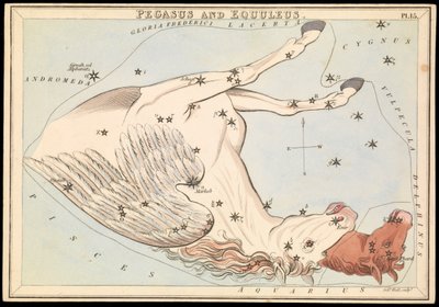 Pegasus and Equuleus, c.1825 by Sydney Hall