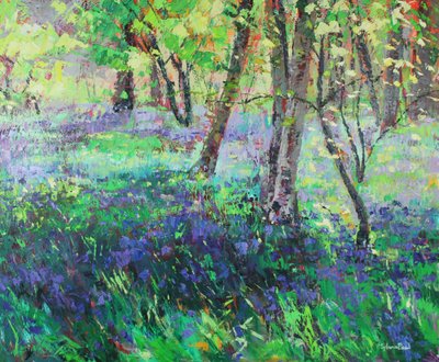 Sunshine and Bluebells by Sylvia Paul