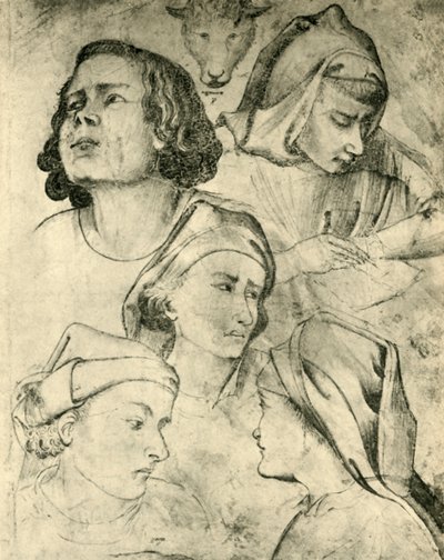 Studies of Heads by Taddeo Gaddi