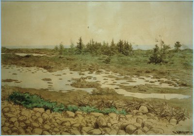 Rolling Stones, Water and Shrubs by Theodor Kittelsen