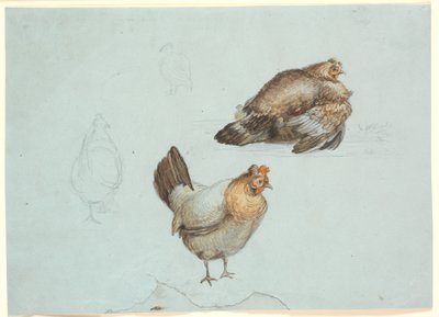 Hens. Study by Theodor Philipsen