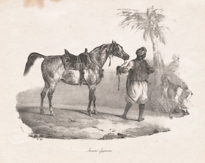 Egyptian Mare, 1822 by Theodore Gericault