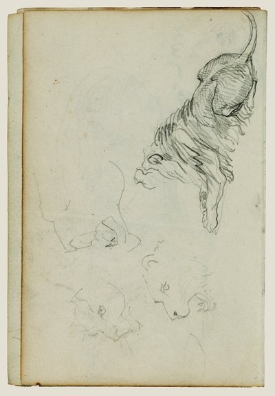 Four Lion Studies by Theodore Gericault