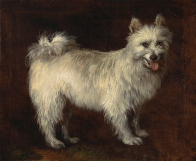 Spitz Dog, A Dog by Thomas Gainsborough