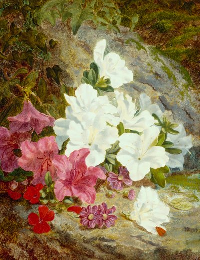 Azaleas by Thomas Worsey