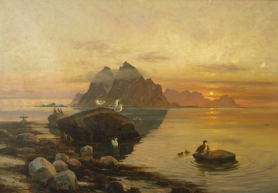 Bird Life by Thorolf Holmboe