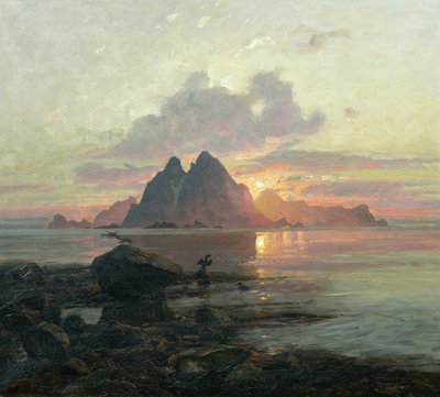 Phalacrocorax Aristotelis in Midnight Sun by Thorolf Holmboe