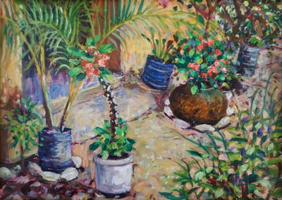 African Pot Plants by Tilly Willis