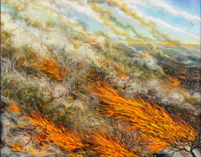 Blaze by Tilly Willis