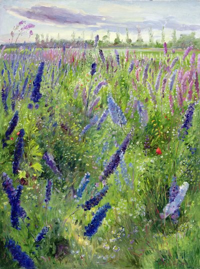 Delphiniums and Emerging Sun by Timothy Easton