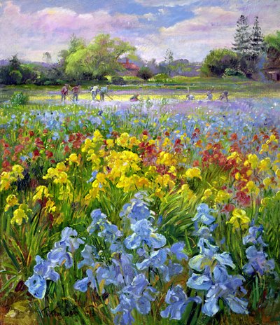 Hoeing Team and Iris Fields by Timothy Easton