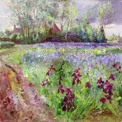 Iris Field, Storm Gathering by Timothy Easton