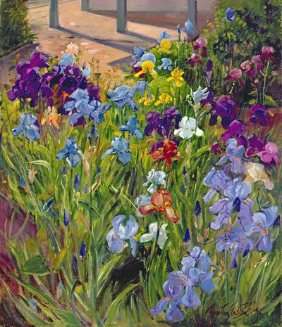 Irises and Summer House Shadows, 1996 by Timothy Easton