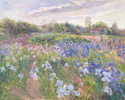 Sunsparkle on Irises by Timothy Easton