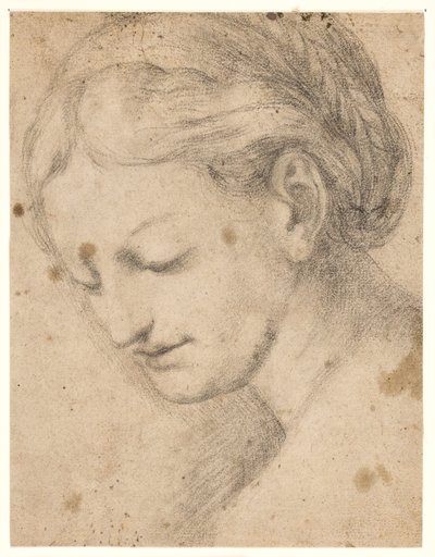 A Woman’s Face in Three-Quarter Profile by Ubekendt