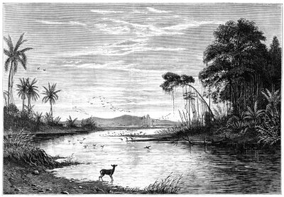 A River Scene in Venezuela, 1877 by Unbekannt