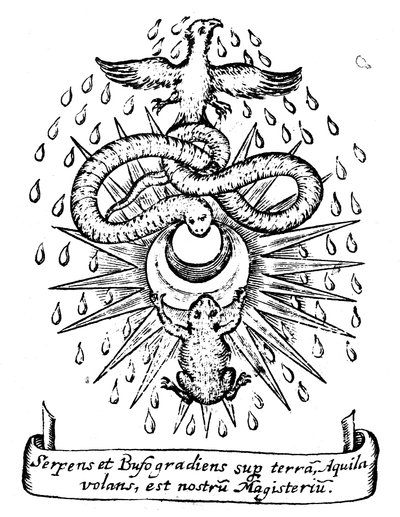 Alchemical Symbolism, 1652 by Unbekannt