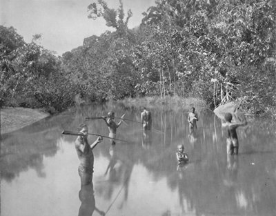 Australian Aborigines Spearing Fish by Unbekannt