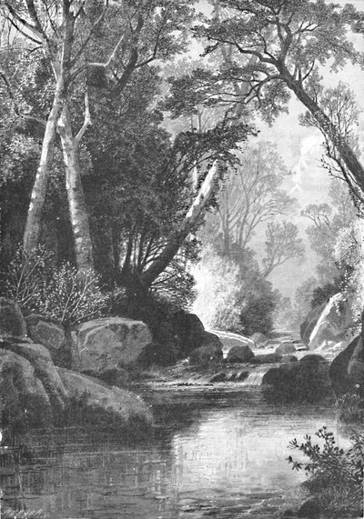 Bear River, Near Bethel, Maine, 1883 by Unbekannt