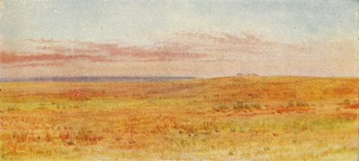 Canadian Prairie by Unbekannt