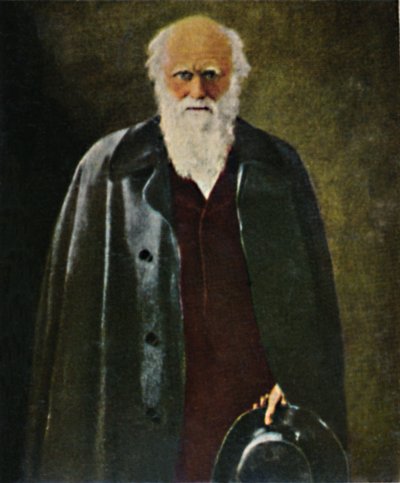 Charles Darwin 1809-1882 - Painting by Collier by Unbekannt