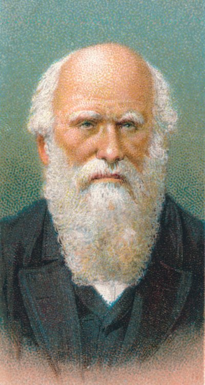 Charles Darwin, British naturalist by Unbekannt