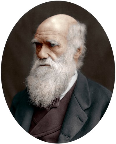 Charles Darwin, British naturalist by Unbekannt
