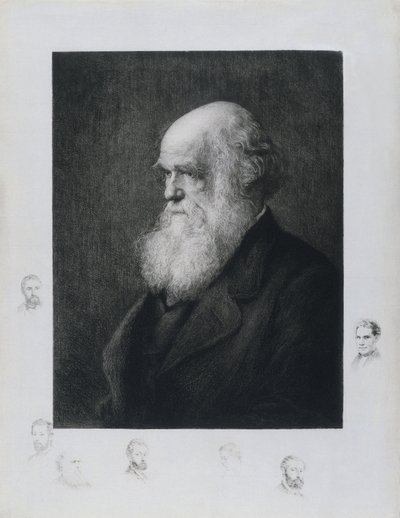 Charles Darwin, English naturalist, c. 1860s by Unbekannt