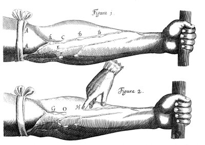 Circulation of the Blood by Unbekannt