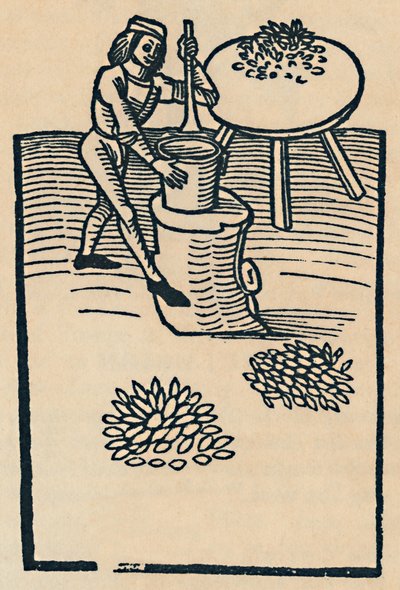 Crushing Herbs in a Mortar by Unbekannt