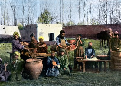 Gut-dressing works, Bukhara, Uzbekistan by Unbekannt