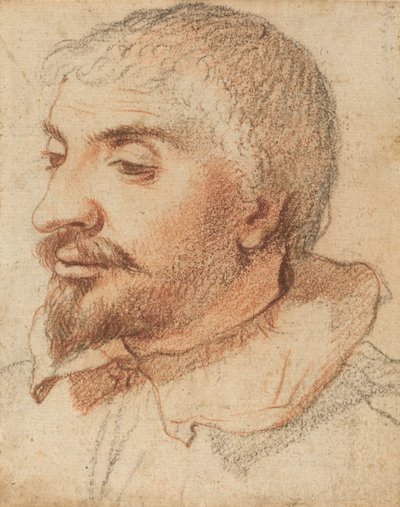 Head of a Man by Unbekannt