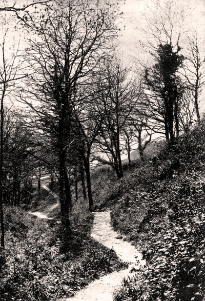 Lovers Lane, Fairlight, Hastings, Sussex by Unbekannt