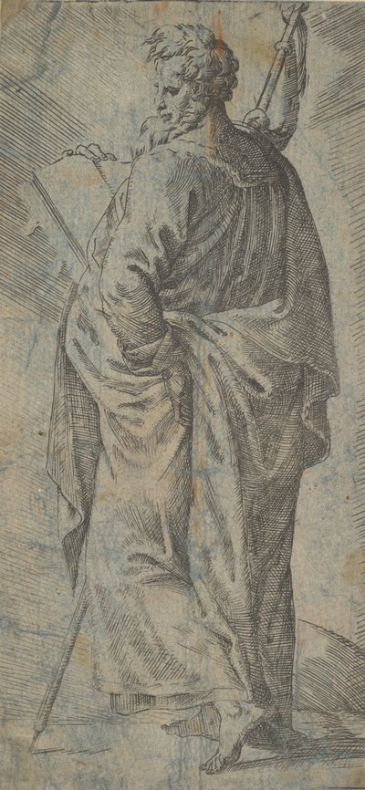 Male Saint, 16th Century by Unbekannt