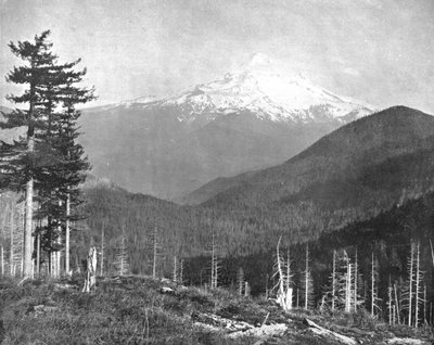 Mount Hood, Oregon, USA by Unbekannt