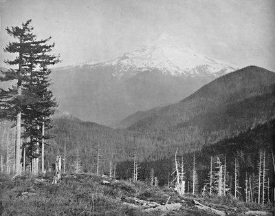 Mount Hood, Oregon, c1897 by Unbekannt