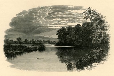 On the Avon. Strensham Reach, c1890 by Unbekannt