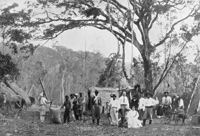 Paraguayan Tea Gathering, Paraguay by Unbekannt